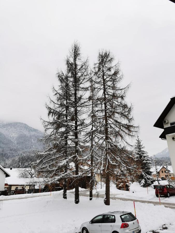 Apartma Kuhar Kranjska Gora Kültér fotó